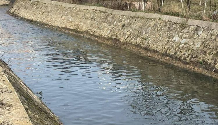 FB_IMG_1766213645448