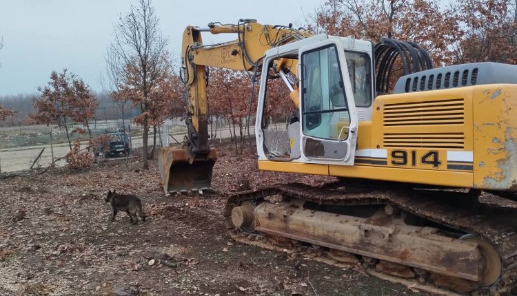 FB_IMG_1766517688807